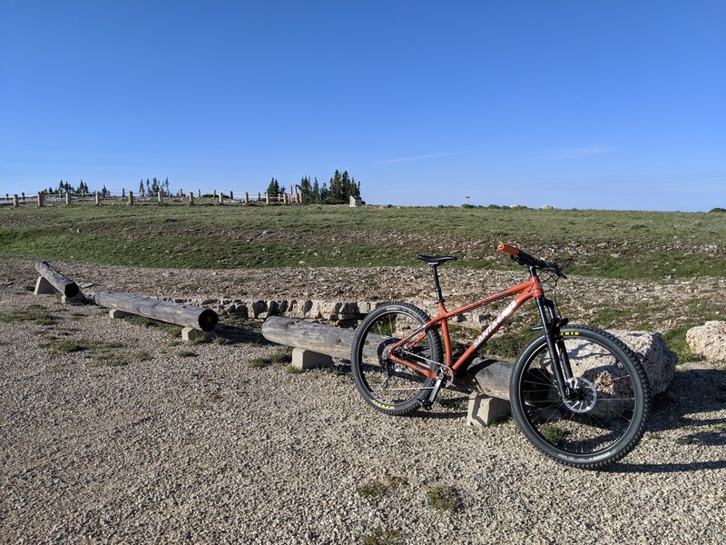 At the top--the Medicine Wheel is in the background.