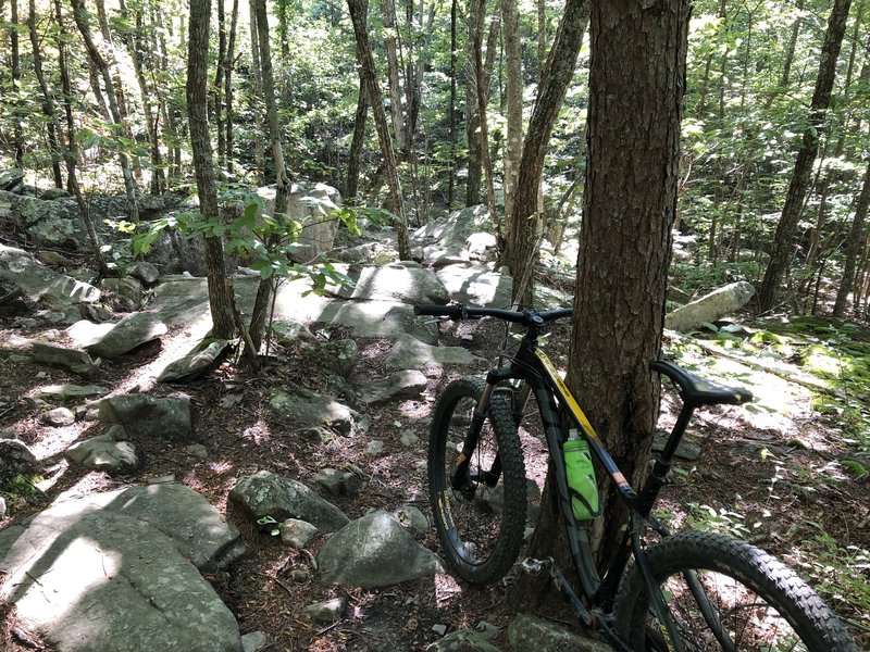 Headed down into the belly of the rock garden on the way toward 5 points