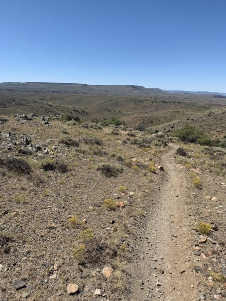 Near the top of the climb... it's all down hill to the road in the distance