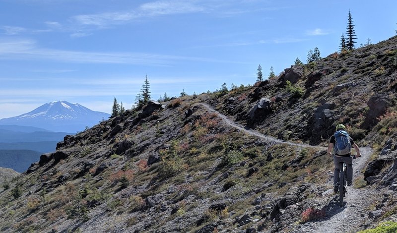 Views of Mt. Adams along trail
