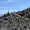 Views of Mt. Adams along trail