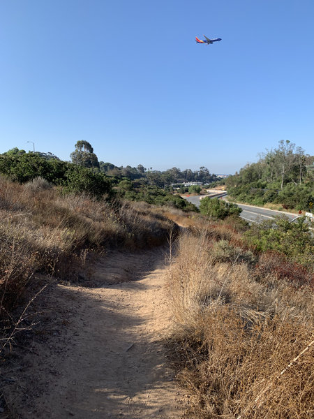 Single trail, east from Florida Drive looking south