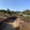 Single trail, east from Florida Drive looking south