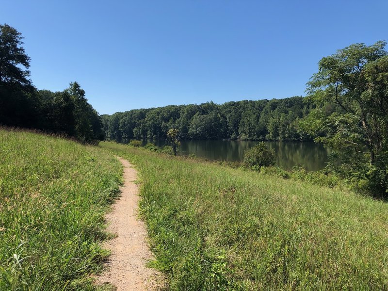 Example of the trail riding in the open field next to lake.