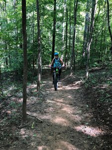 Brumley mountain bike discount trails