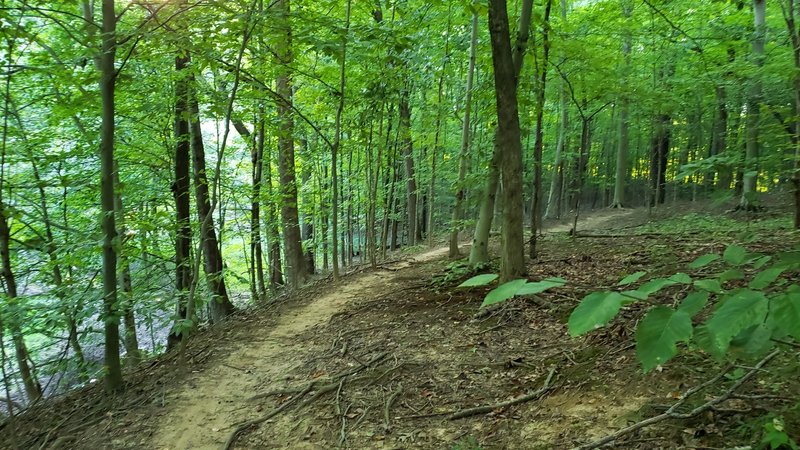 Trail by the water