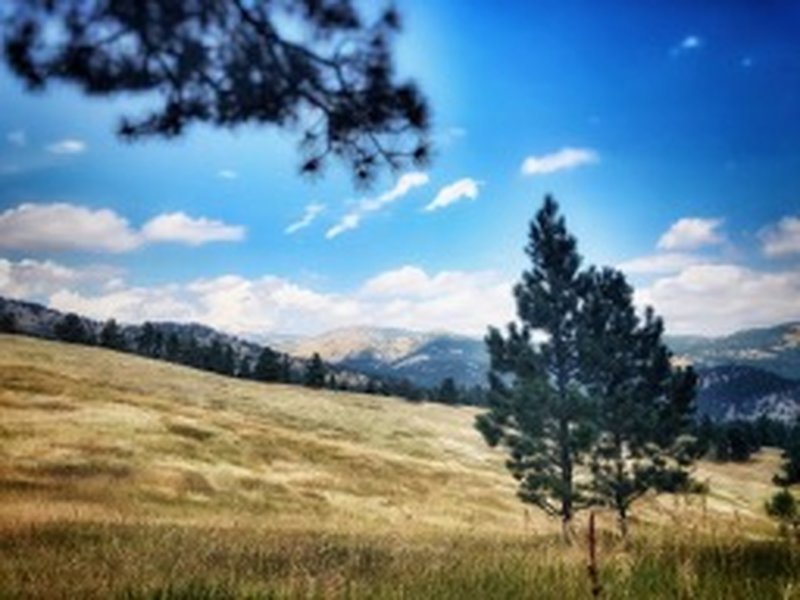 View from the Canyon Loop.