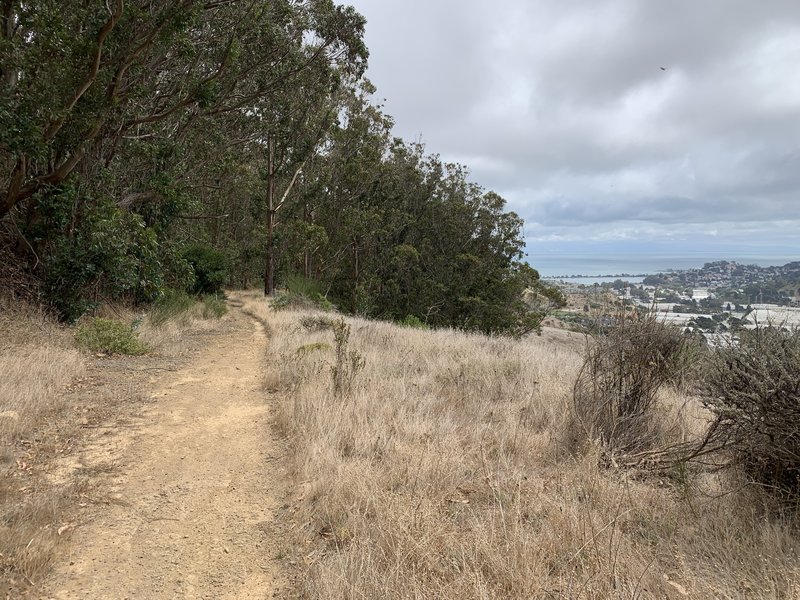 Steady downhill singletrack with views of the bay.