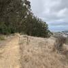 Steady downhill singletrack with views of the bay.