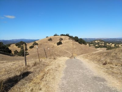 You made it! It's all downhill from here (well, mostly).