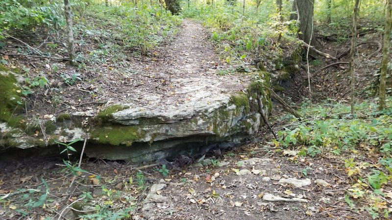 Secret drop on Section 2 about 1 mile before the section 4 split. As trail curves left, take the less ridden right spur uphill. Just keep good speed and roll off the ~ 2 foot drop.