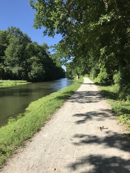 Central Towpath at Butler University campus.