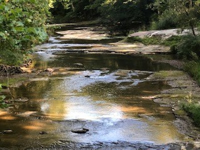 Ride along the Black River.