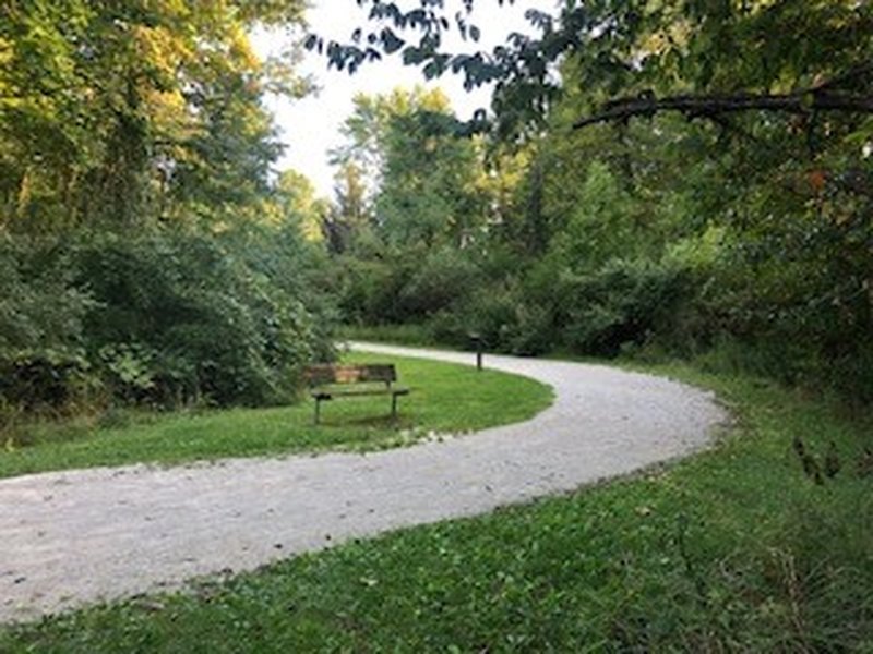 Multi-purpose access trail to singletrack sections.