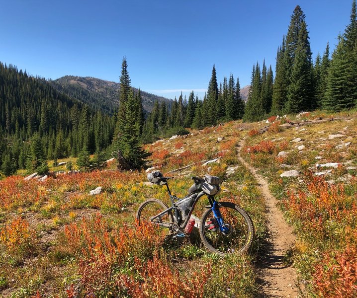 Midway up Decker Creek.