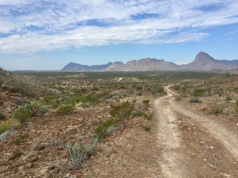 Looking south along the Black Gap Road towards Elephant Tusk.