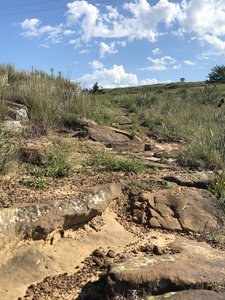 Sand, rocks sections, and solid singletrack. Lots of stickers in September.