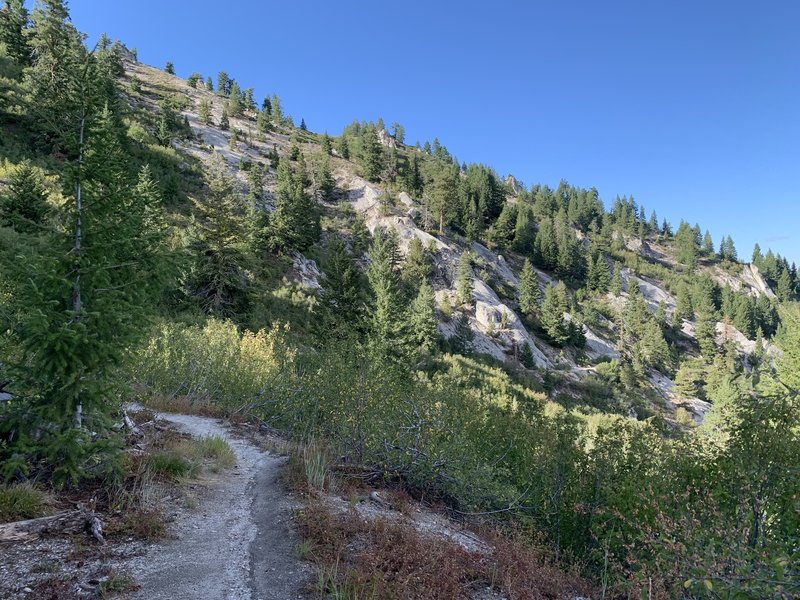 Trail gets rocky with loose small gravel.