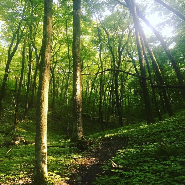 Glacial Blue Hills Trail