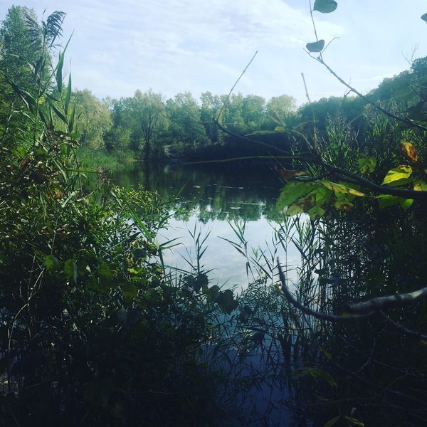 Glacial Blue Hills Trail