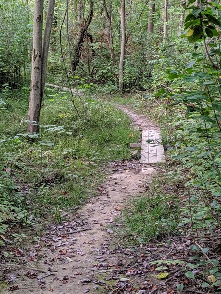 Trail out to the fire road.