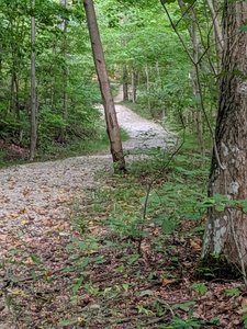 Gravel trail to river.