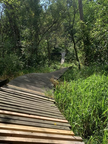 View across the bridge. Also able to see the end of the elevated log ride.