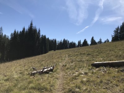 First meadow going to Little Bunchgrass.