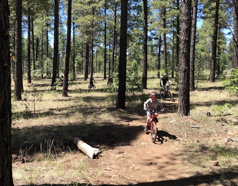 This trail is well cared for and good for all skill levels. Plus, it's never too early to acquire some technical riding skills (says my 5-year-old).