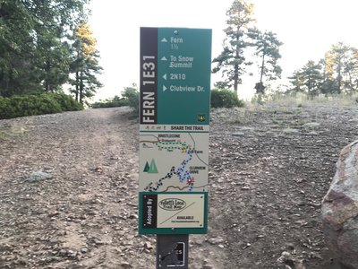 Trail marker/map at the junction of Skyline Road (2N10) and Fern Trail.