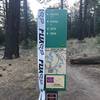 Trail marker/map at the junction of Skyline Road (2N10) and Skyline Trail and Radford Road.