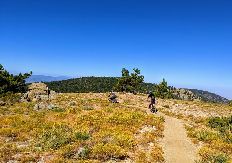 Continue west of the asphalt at the top of the Mt. Pinos Road for a beautiful lookout with 300° views.