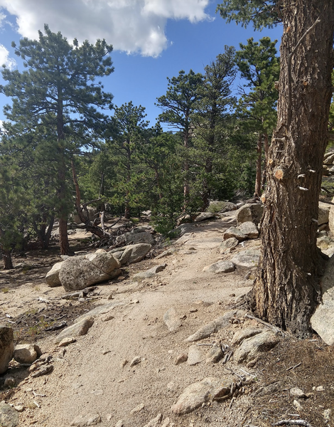 Some sandy sections.