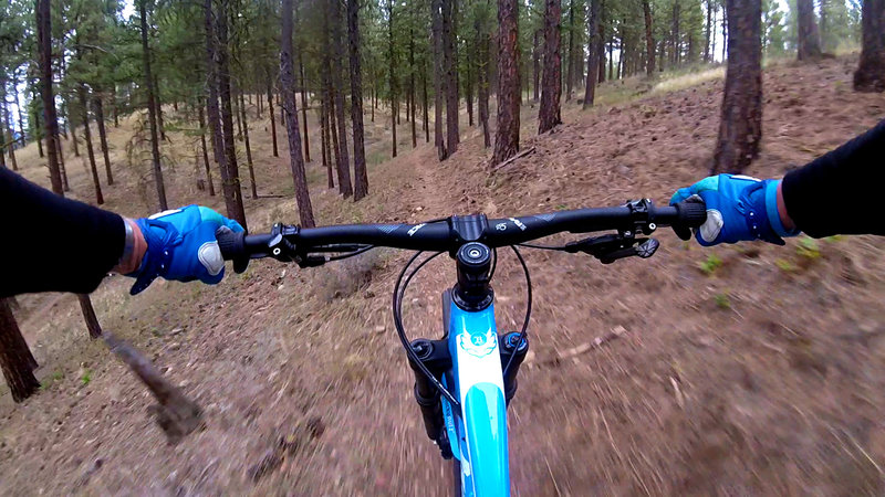 Cruising through the ponderosa pines on the North Shore Trail.