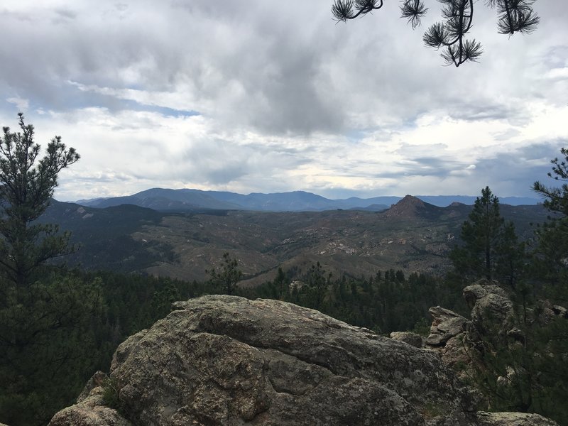 Burn scar on the next section of the Colorado Trail west of the South Platte River.