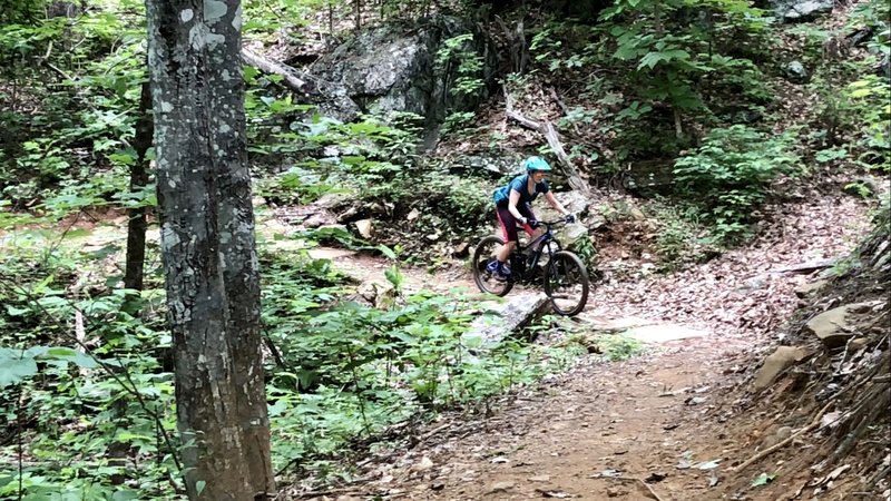 Fun trail to ride with an intermediate rider!