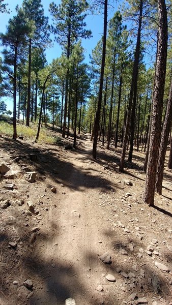 Riding counterclockwise this is the first climb.