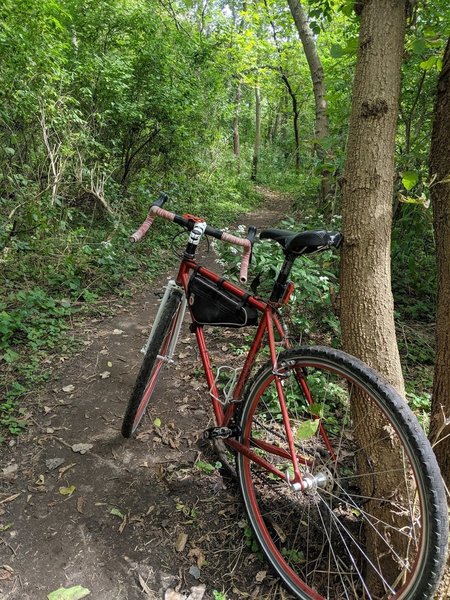 fun short trail, easily ridden with any bike