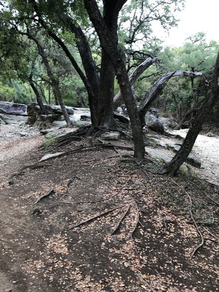 The Bowl below OP Schnabel Park