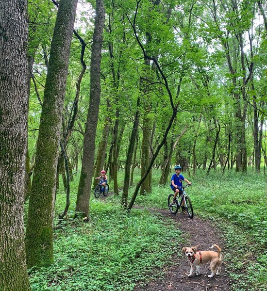 Target audience #mtbkids enjoying their first singletrack experience on the Creek Confluence (the dog is veteran)