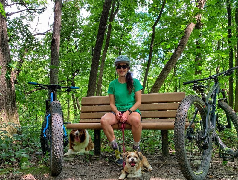 mt. bikes + dogs + dirt = awesome