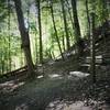 Mid section of the trail as it cross Biddle. Depending on recent rainfall, the section below may be muddy even though the upper is fine.