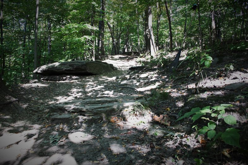 There are rocks to drop off or roll over, throughout the upper section of this trail.