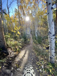 fun corkscrews though the aspen