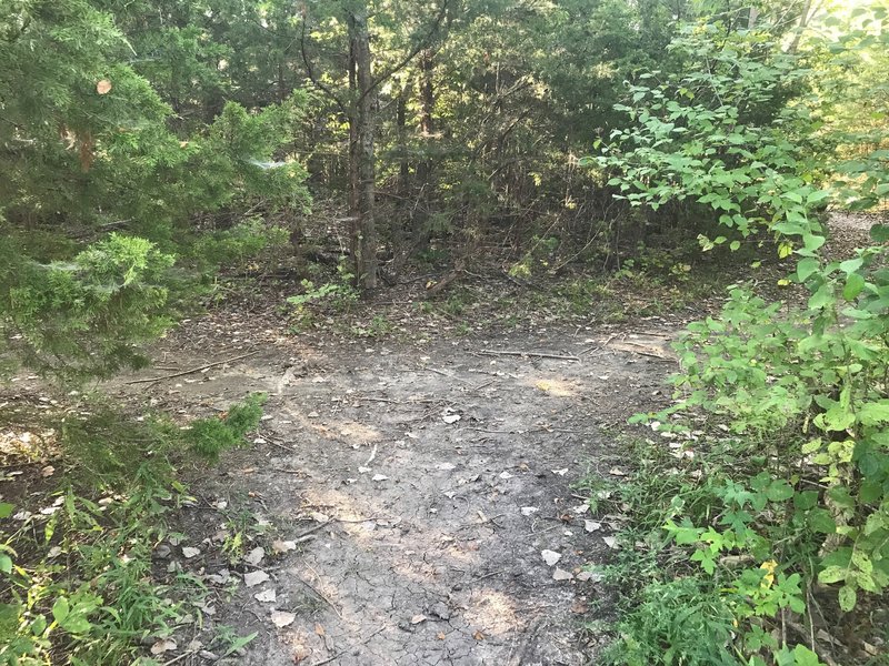 Sister loop trail going by the pond