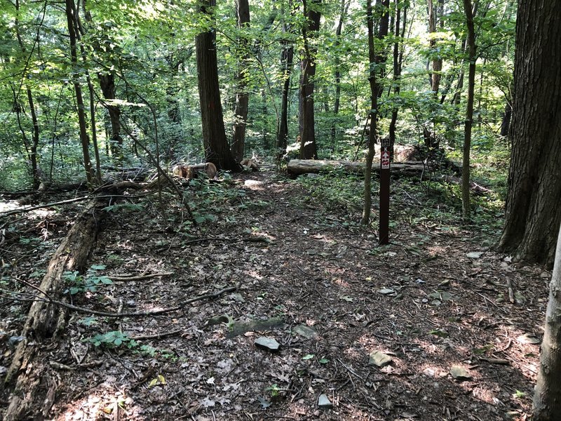 Finally new trail signs!  Beginning of Downhill trail.