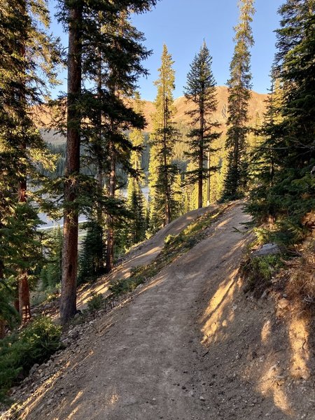 High berms through the switchbacks