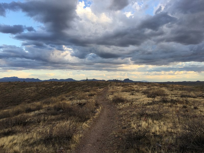 Top of Scenic Trail 9/25/2019