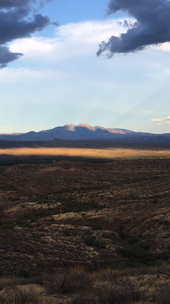 Four Peaks from Scenic Trail at McDowell Mountain Regional Park