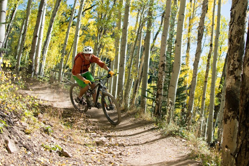 Aspen Alley in September